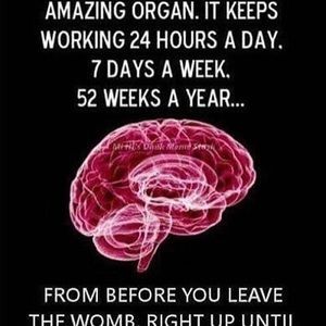 Meet your Posher, Phil